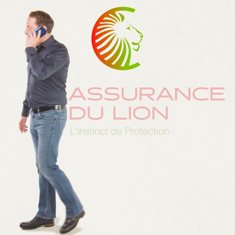 Photo Assurance Du Lion